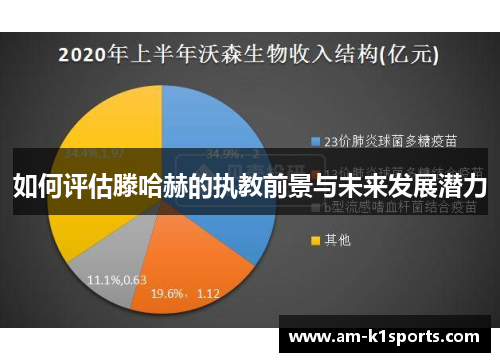 如何评估滕哈赫的执教前景与未来发展潜力