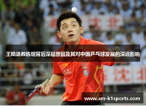 王皓退教练组背后深层原因及其对中国乒乓球发展的深远影响 王皓退教练组背后深层原因及其对中国乒乓球发展的深远影响