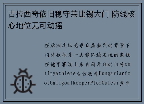 古拉西奇依旧稳守莱比锡大门 防线核心地位无可动摇 古拉西奇依旧稳守莱比锡大门 防线核心地位无可动摇